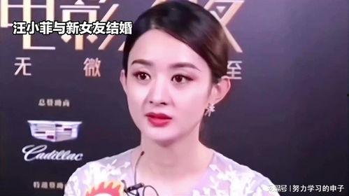 娱乐八卦吃瓜赵丽颖视频在线观看,揭秘幕后故事，带你领略明星风采