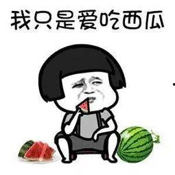 娱乐吃瓜酱梗是什么,网络热词背后的趣味与思考