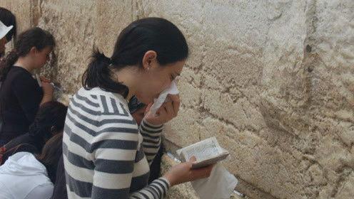 娱乐吃瓜君3,揭秘娱乐圈背后的秘密与八卦